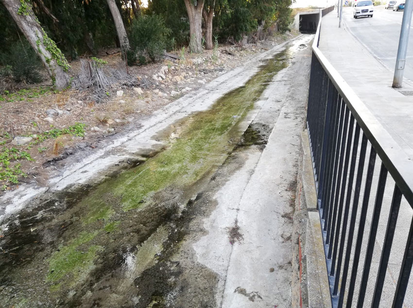 Medio Ambiente acomete trabajos de limpieza en el barranco Els Arcs