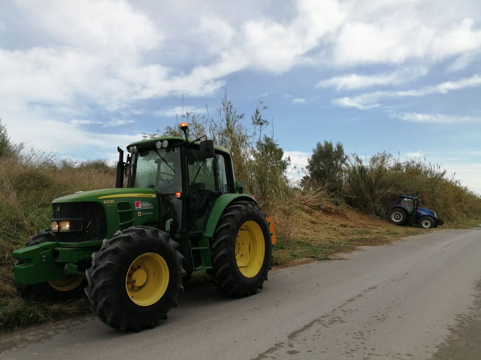 La PDM continua amb les tasques d’eliminació de canyes i el manteniment dels camins al municipi