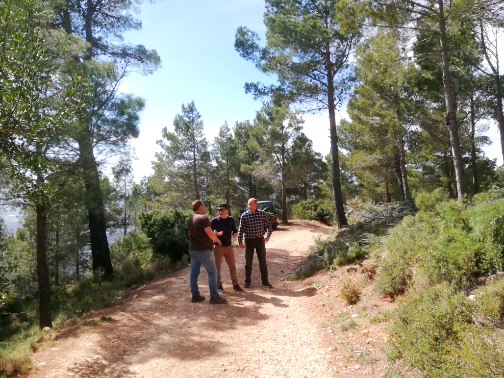 Nuevos trabajos de mejora de la masa forestal en Serra Bèrnia