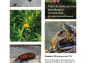 Medi Ambient i Turisme organitzen un taller per al coneixement de les espècies exòtiques