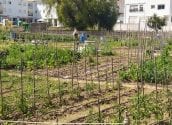 Agricultura entrega una nova desena d'horts urbans ecològics