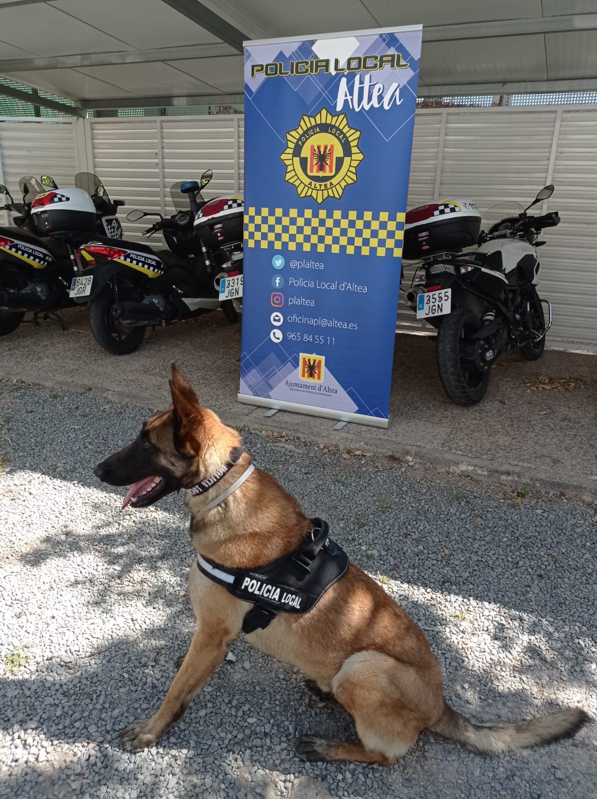 La Policia Local incrementa un 20% les actuacions per tinença i consum de drogues des de la implantació de la unitat canina