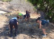 Comencen els treballs d'intervenció arqueològica en el jaciment de Sogai d'Altea