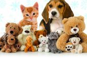 Benestar Animal llança la campanya ‘No soc un joguet’ per a conscienciar sobre la compra de mascotes per Nadal