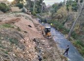 La CHJ retira el geotextil y repuebla con especies autóctonas la ribera del Barranco de La Olla