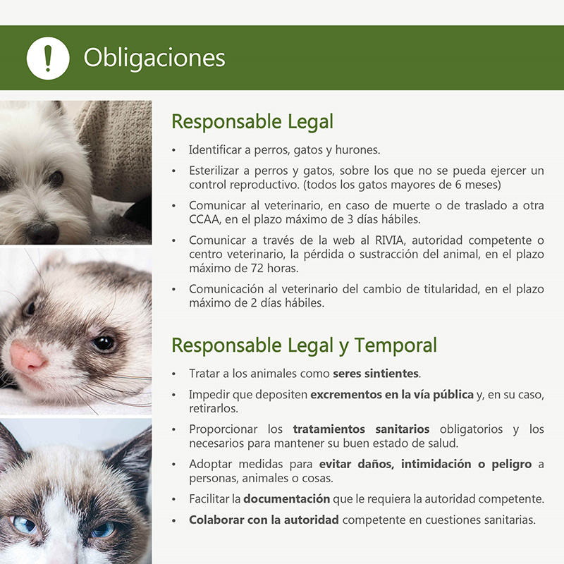 Benestar Animal ofereix informació a la ciutadania sobre l’adopció responsable i la cura dels animals domèstics