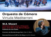 Cultura vos convida a gaudir del concert de l'Orquestra de Cambra “Virtuós Mediterrani” que tindrà lloc el dissabte 3 d'agost a Palau Altea a les 19:30h. És un concert per a orquestra i piano dirigit per Gerardo Estrada. L´entrada és lliure i gratuïta fins a completar aforament.