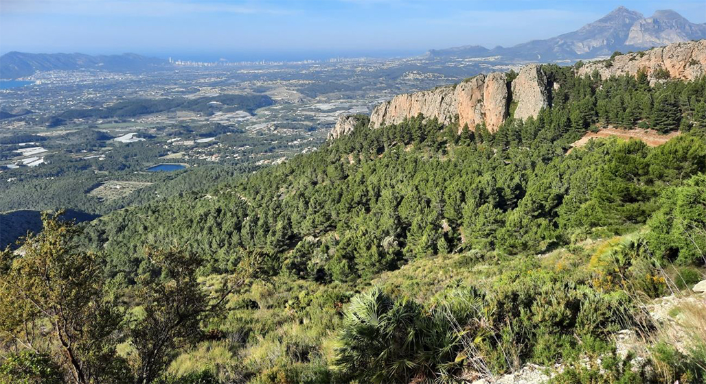 L’Ajuntament d’Altea rep 50.000€ en subvencions per a feines de prevenció d’incendis