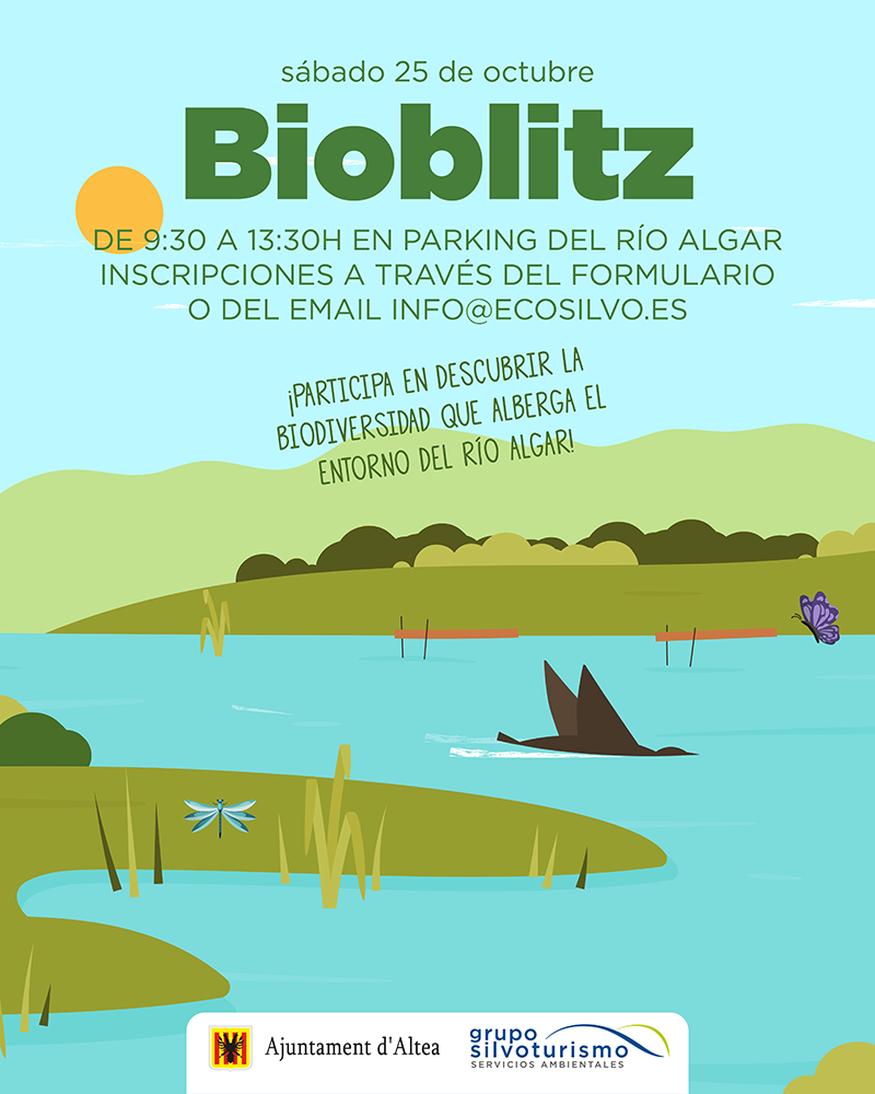 Medio Ambiente programa actividades de educación ambiental para fomentar la participación activa en la protección de la naturaleza