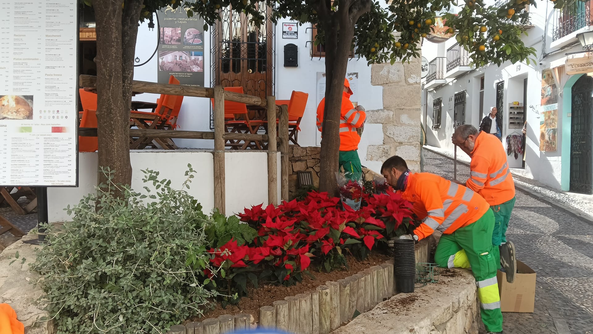 L’Empresa Pública engalana el municipi amb la tradicional Flor de Nadal L’Empresa Pública engalana el municipi amb la tradicional Flor de Nadal