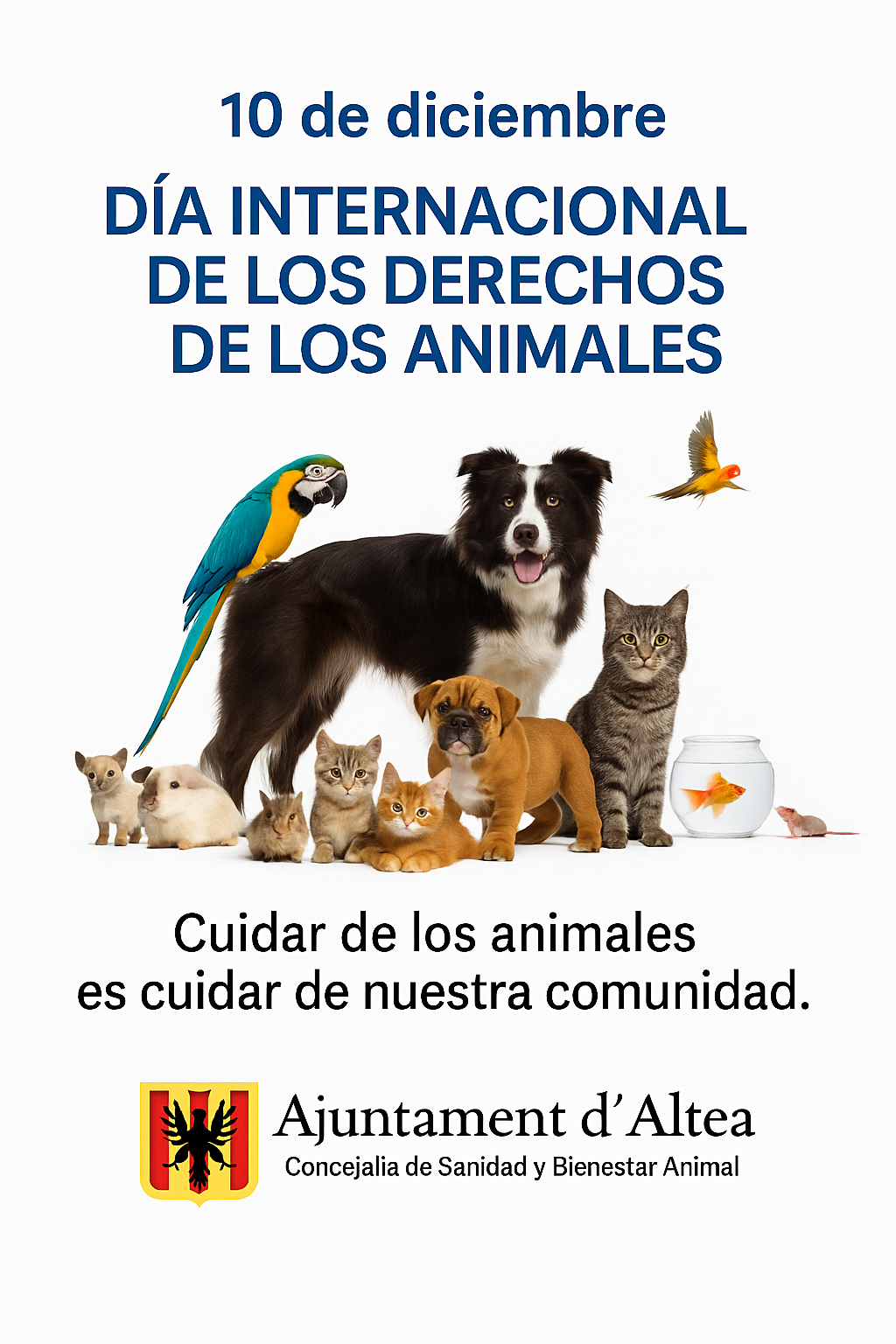Benestar Animal reafirma el seu compromís en el Dia Mundial dels Drets dels Animals Benestar Animal reafirma el seu compromís en el Dia Mundial dels Drets dels Animals